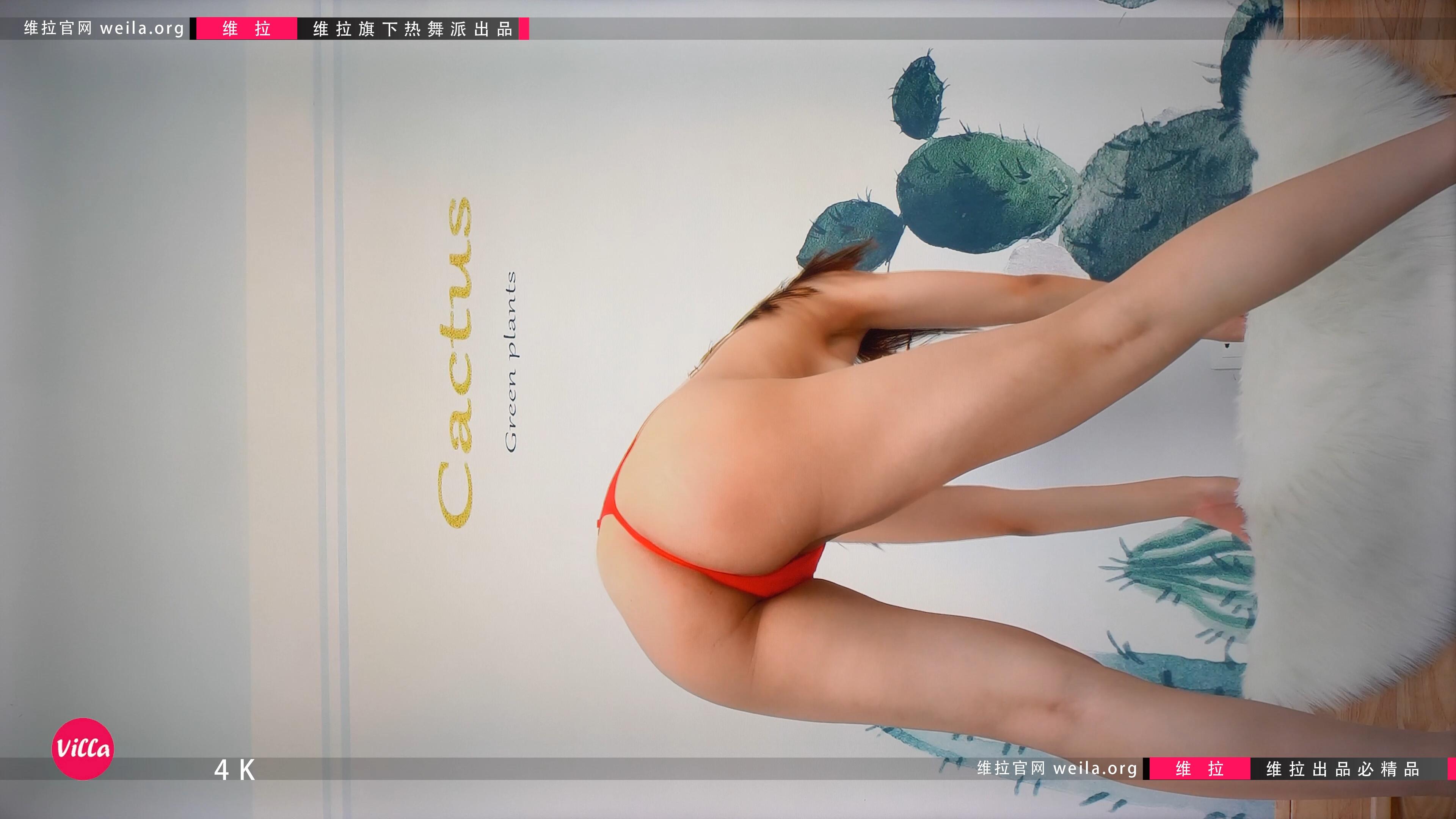 维拉热舞私房诱惑 4K高清舞蹈视频